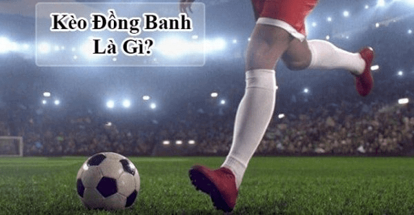 kubet 11,kubet11 net,kubet 11 net,ku711,kubet 88,kubet kubet77,KUBET,kubet,ku,ku casino,KUBET